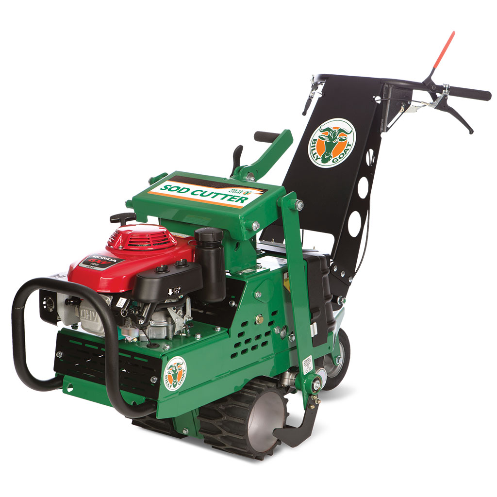 Billy hotsell goat sc181h